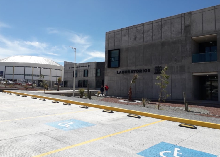 Regresarán a las aulas cerca de 40 mil estudiantes en la UAZ