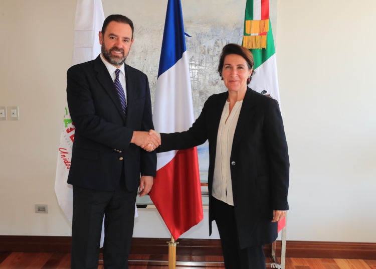 Promueve Tello cooperación económica y cultural con gobierno francés