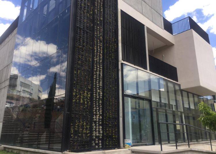 Abren nueva licenciatura en la UAZ