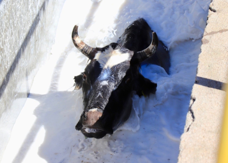 Busca Mejía Haro que “Crédito a la palabra” llegue a capitalinos