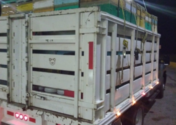 Detienen a presuntos ladrones de colmenas