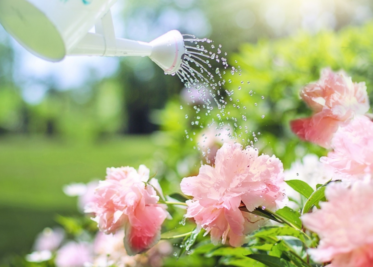Medidas para cuidar el agua