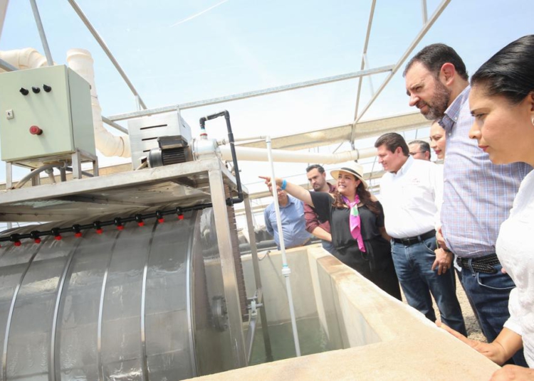 Instalarán granja para producción de tilapia en San Jerónimo