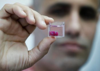 Con tejido humano, imprimen en 3D el primer corazón