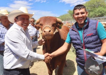 David Monreal entrega 200 novillonas y seis sementales en Jalpa