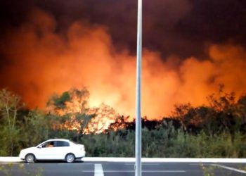 Arrasa incendio con manglares en Campeche