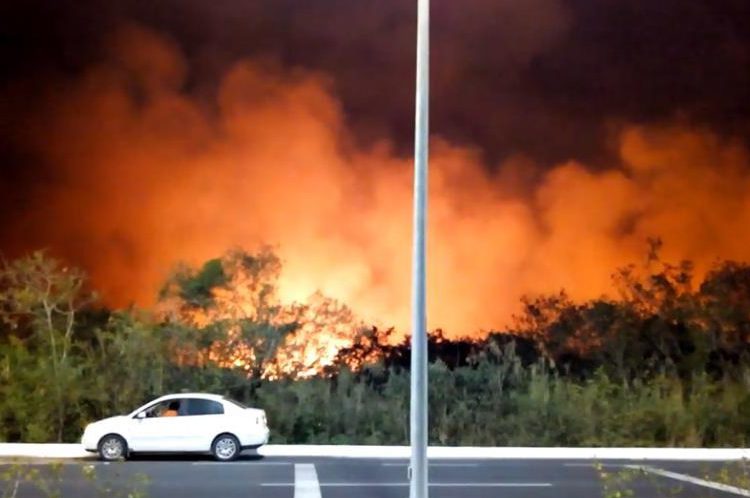 Arrasa incendio con manglares en Campeche