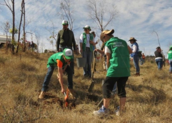Inician campaña de reforestación en La Bufa
