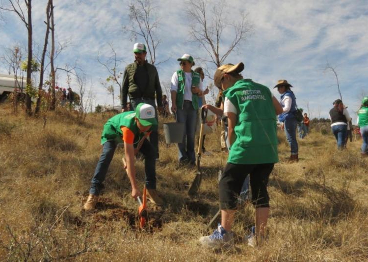 Inician campaña de reforestación en La Bufa