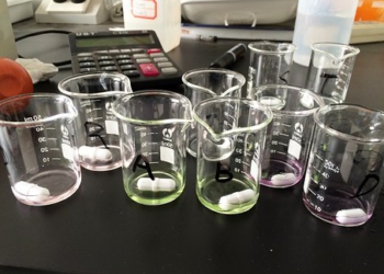 Hoy es Día mundial de la ciencia y la tecnología