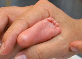 Pese a revisión federal, Tamiz será permanente en Zacatecas