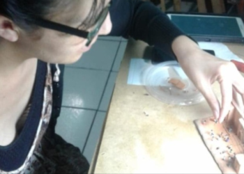 Artesana de Guadalupe gana el tercer lugar del Concurso Nacional del Juguete Tradicional