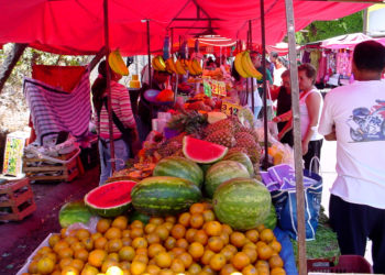 TIANGUIS FOTO ARCHIVO / LANDY VALLE