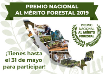 Invita Conafor a participar por el premio al Mérito Forestal