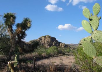 Hallan restos humanos calcinados en Villa García