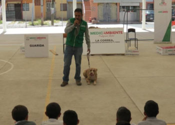 Conciencian a niños sobre el cuidado de los perros
