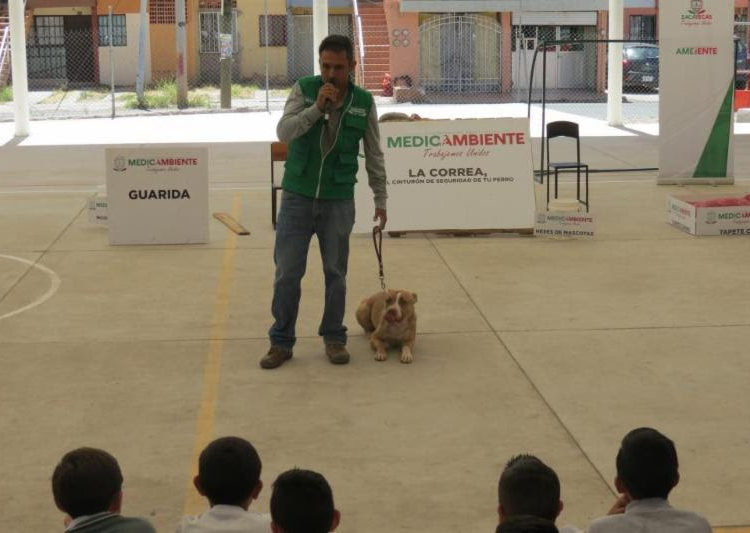 Conciencian a niños sobre el cuidado de los perros