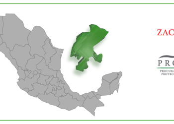 Confirman la eliminación de delegados federales en el estado