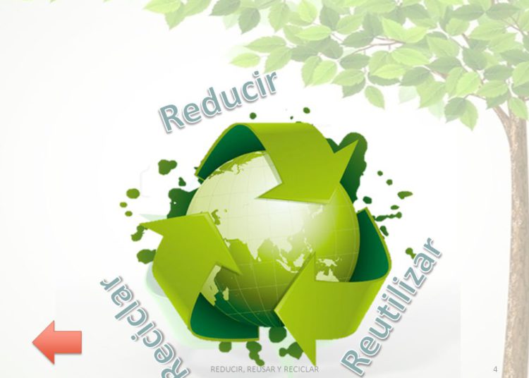 Hoy, Día Mundial del Medio Ambiente