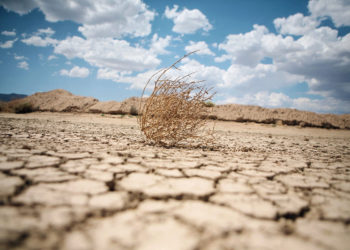 Código político: ¿Dónde está la oposición?