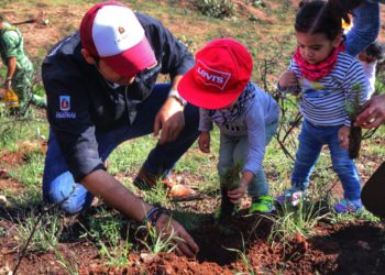 Prepara la capital planes de manejo ambiental para protección de zonas ecológicas