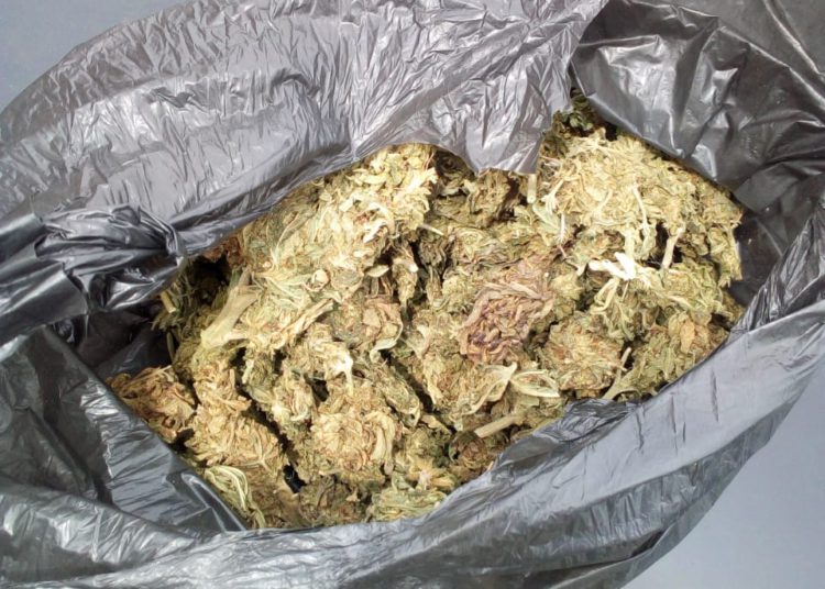 Aseguran marihuana y detienen a cuatro