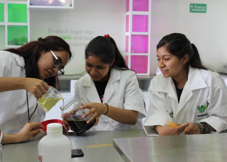 Concluyen Clubes de Ciencia 2019