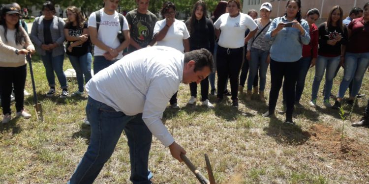 Mantendrá la UAZ su campus vivo con campaña de reforestación
