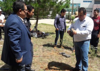 Mantendrá la UAZ su campus vivo con campaña de reforestación