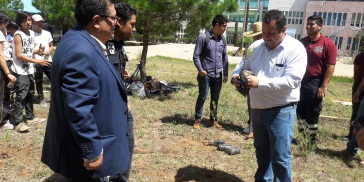 Mantendrá la UAZ su campus vivo con campaña de reforestación