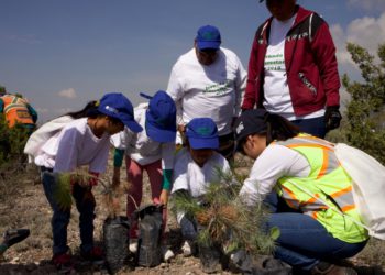 Plantan 3 mil árboles en jornada de reforestación en Mazapil