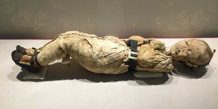 Anuncian próxima exposición de momias zacatecanas 