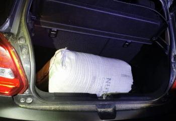 Aseguran 25 kilos de marihuana en Villanueva