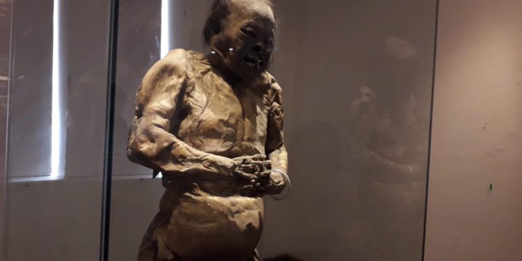 Llegan las momias de Guanajuato a Casa Municipal de Cultura en Zacatecas