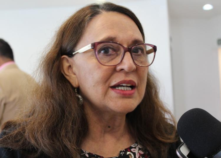 Sin resultados los megaproyectos para la mejora del medio ambiente