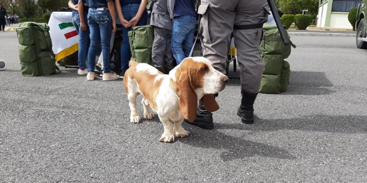 Disfrutan zacatecanos de domingo familiar en la 11° Zona Militar