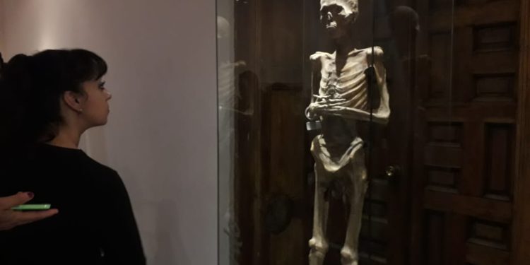 Llegan las momias de Guanajuato a Casa Municipal de Cultura en Zacatecas