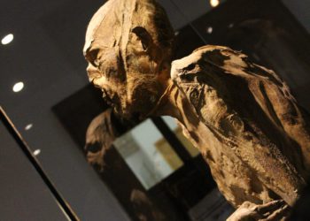 Llegan las momias de Guanajuato a Casa Municipal de Cultura en Zacatecas