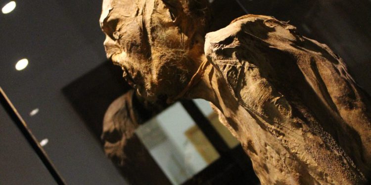 Llegan las momias de Guanajuato a Casa Municipal de Cultura en Zacatecas