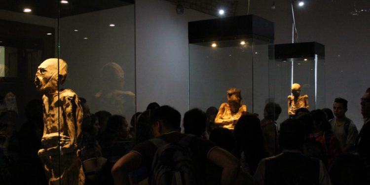 Llegan las momias de Guanajuato a Casa Municipal de Cultura en Zacatecas