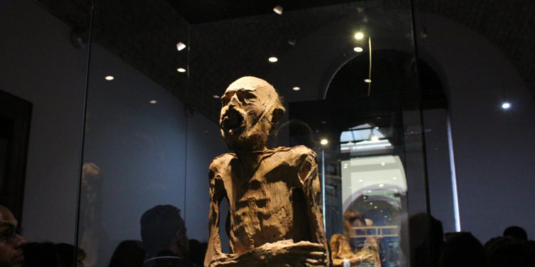 Llegan las momias de Guanajuato a Casa Municipal de Cultura en Zacatecas