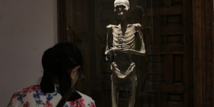 Llegan las momias de Guanajuato a Casa Municipal de Cultura en Zacatecas