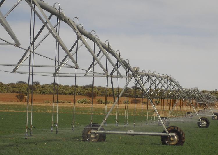 Entrega Sader apoyos por 12.6 mdp para tecnificación de riego