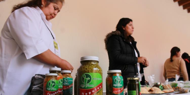 Apoyo a las Culturas beneficia a 92 personas