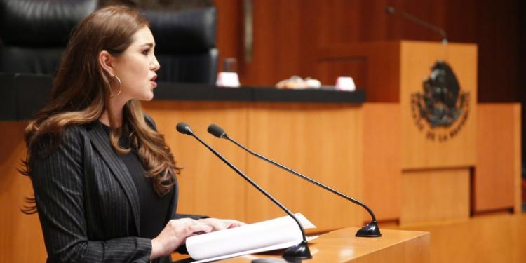 PT propone Ley General de Salud Mental