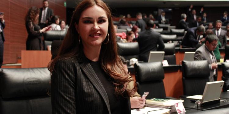 PT propone Ley General de Salud Mental