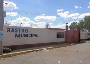 Requiere rastro municipal 60 millones de pesos para su reubicación