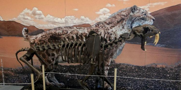 ¡No te pierdas la exposición Megabestias del Pasado!