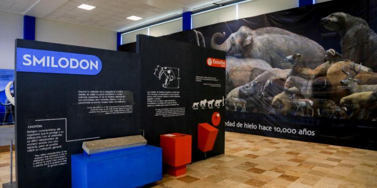 ¡No te pierdas la exposición Megabestias del Pasado!