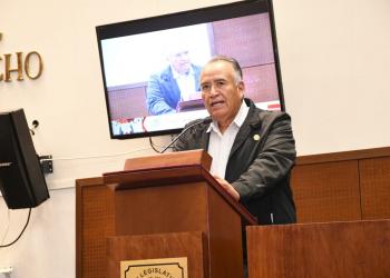 Armando Perales Gándara, diputado